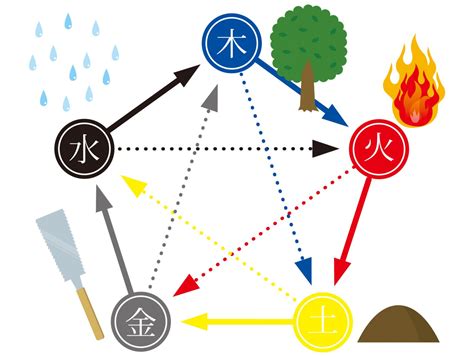 金水月|《月水金火木土》13